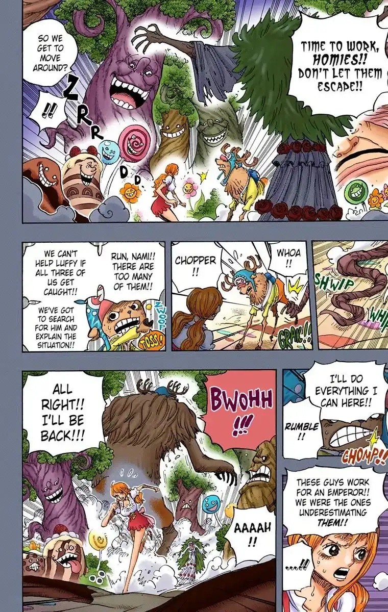 One Piece - Digital Colored Comics Chapter 835 12